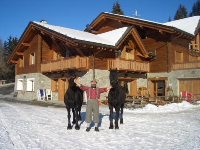 فيلا فالديسوتوفي Agriturismo Chalet Caribona المظهر الخارجي الصورة